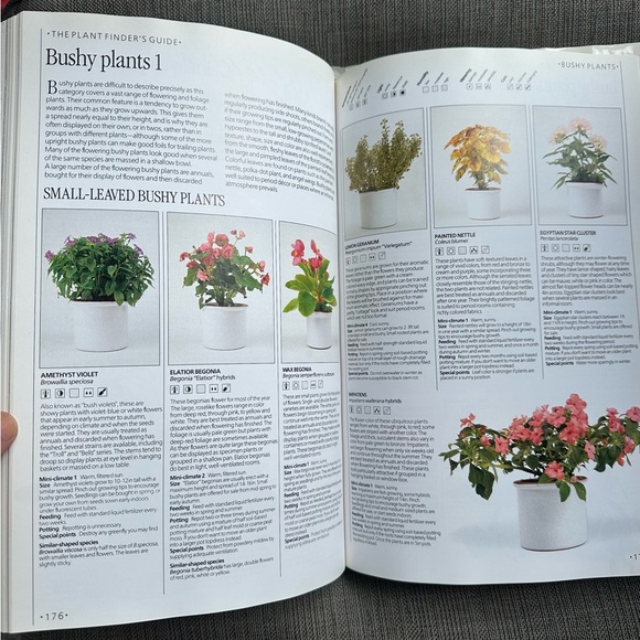 The Indoor Garden Book by John Brookes - Picture 6 of 7